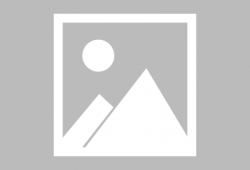 大连爆料吃瓜事件视频最新,吃瓜事件视频揭秘，真相背后引热议